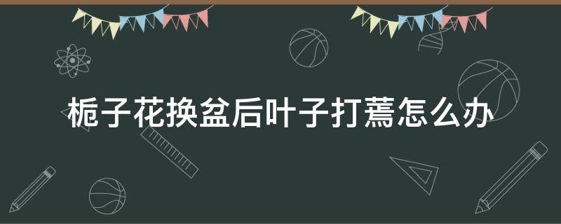 栀子花换盆后叶子打蔫怎么办 新买回的栀子花换盆后打蔫怎么补救