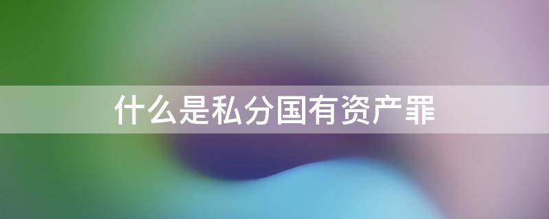 什么是私分国有资产罪 私分国有资产罪的国有资产