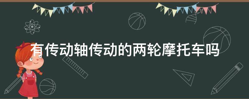 有传动轴传动的两轮摩托车吗 传动轴传动两轮摩托车有哪些