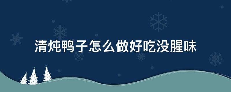 清炖鸭子怎么做好吃没腥味（清炖鸭子做法怎样不腥）