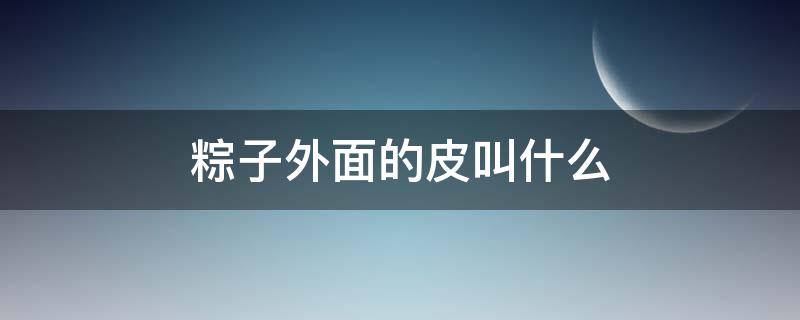 粽子外面的皮叫什么 粽子的外皮叫什么?