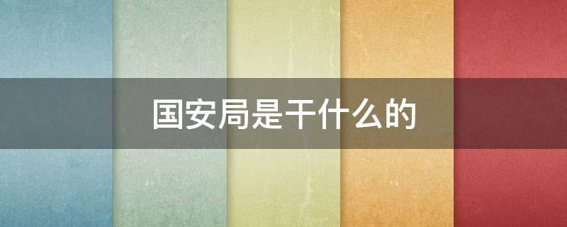 国安局是干什么的（国安局是干什么的如何进国安局）