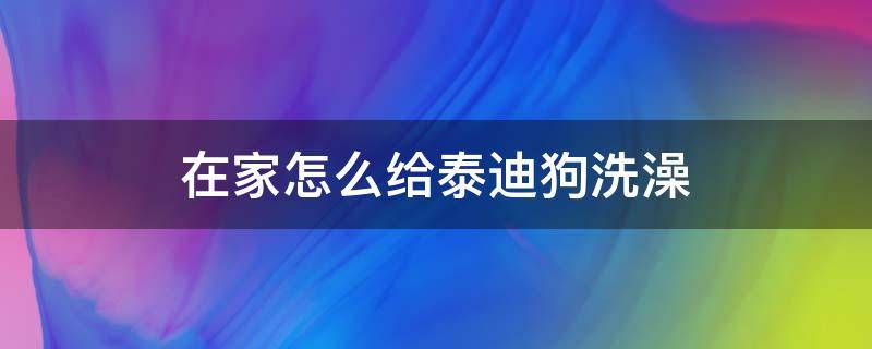 在家怎么给泰迪狗洗澡 在家给泰迪洗澡怎么洗