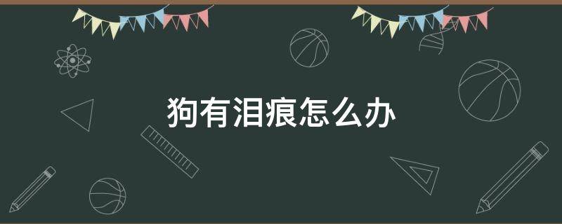 狗有泪痕怎么办 三个月狗狗有泪痕怎么办