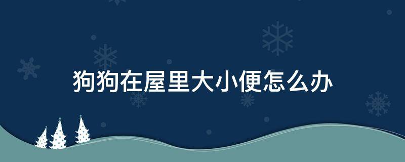 狗狗在屋里大小便怎么办 狗狗老在屋里小便怎么办