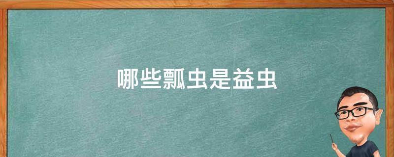 哪些瓢虫是益虫 哪些瓢虫是益虫哪些是害虫