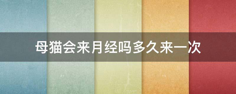 母猫会来月经吗多久来一次 母猫多久来一次例假