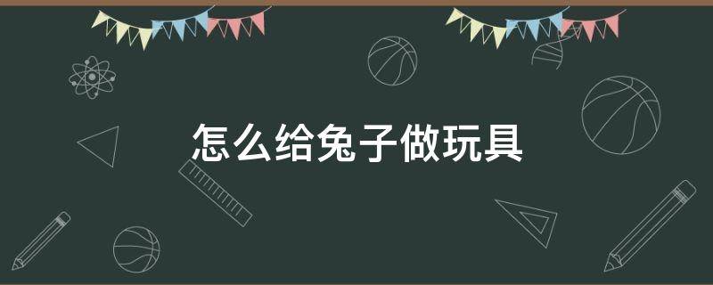 怎么给兔子做玩具 可以给兔子做什么玩具