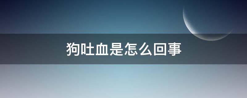 狗吐血是怎么回事（狗吐血是怎么回事是什么病）