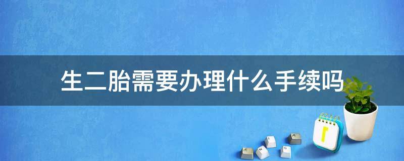 生二胎需要办理什么手续吗（现在生二胎需要什么手续）