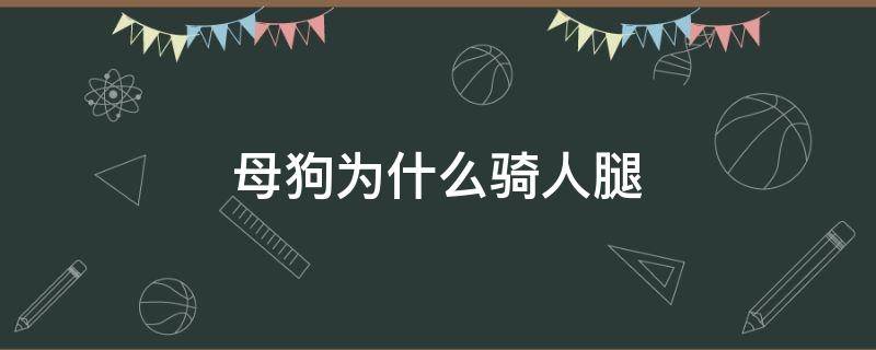 母狗为什么骑人腿 母狗为什么还抱腿