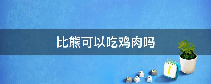 比熊可以吃鸡肉吗（比熊能不能吃鸡腿）