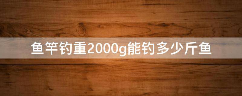 鱼竿钓重2000g能钓多少斤鱼 鱼竿钓重2000g是多少斤