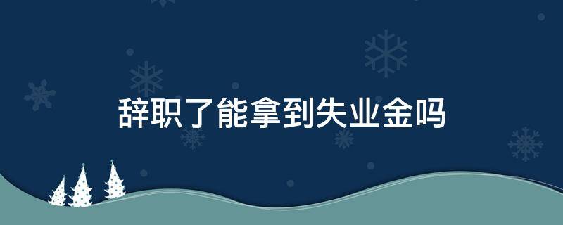 辞职了能拿到失业金吗（辞职了可以拿到失业金吗）