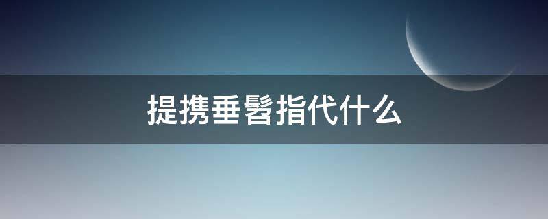 提携垂髫指代什么 提携、垂髫指代什么