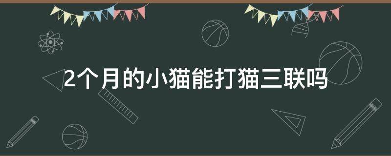 2个月的小猫能打猫三联吗（三个月的猫可以打猫三联吗）