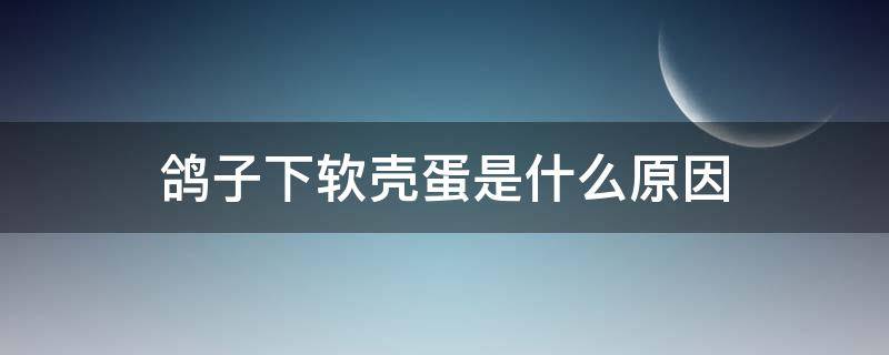 鸽子下软壳蛋是什么原因 鸽子下蛋软壳怎么回事