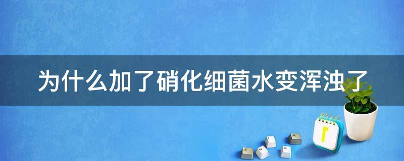 为什么加了硝化细菌水变浑浊了 为什么加了硝化细菌水变浑浊了呢