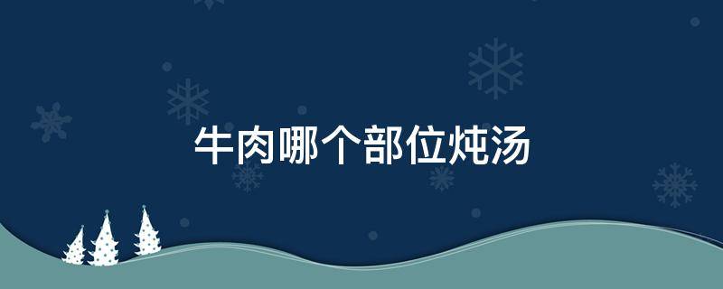 牛肉哪个部位炖汤（牛肉哪个部位炖汤最嫩）