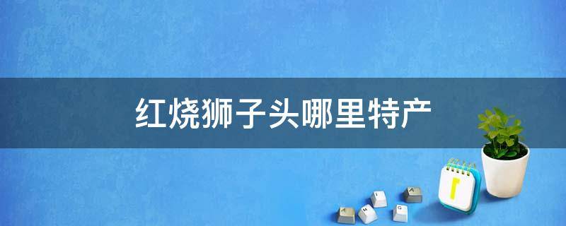 红烧狮子头哪里特产 红烧狮子头哪里的特色