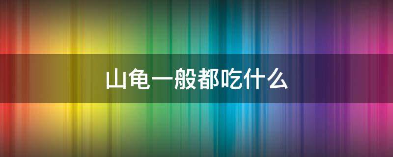 山龟一般都吃什么 山龟主要吃什么