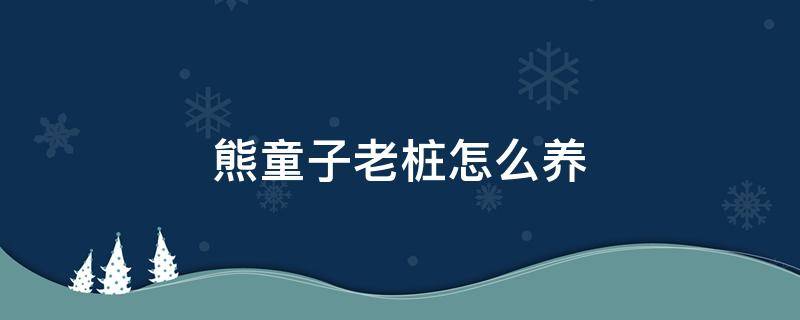 熊童子老桩怎么养 熊童子大老桩