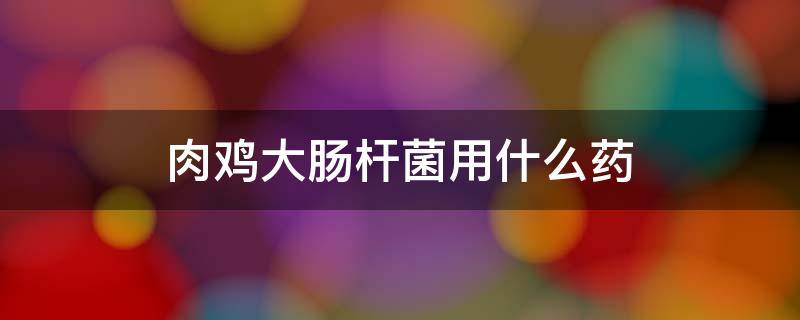 肉鸡大肠杆菌用什么药 肉鸡大肠杆菌用什么药效果好