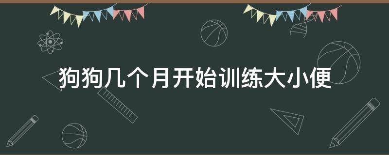 狗狗几个月开始训练大小便（小狗在几个月训练大小便比较合适）