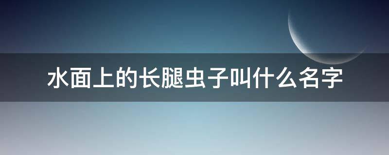 水面上的长腿虫子叫什么名字 水面上四条腿的虫子叫什么