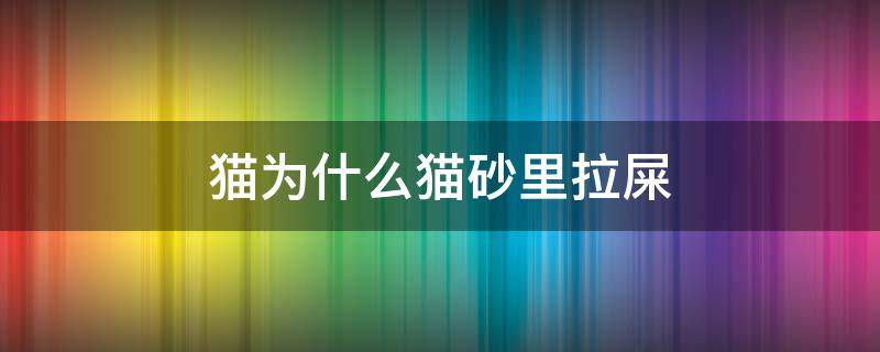 猫为什么猫砂里拉屎 为什么猫知道在猫砂里拉屎