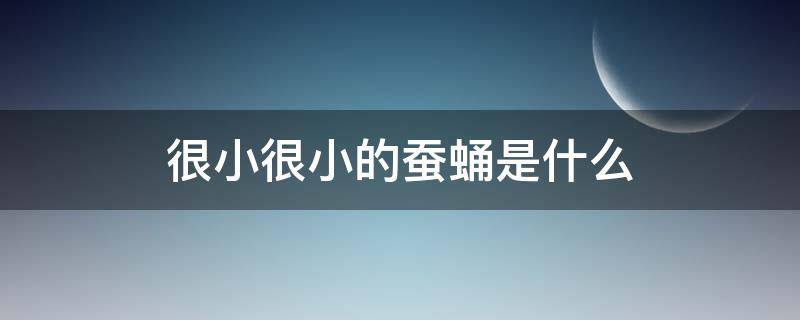 很小很小的蚕蛹是什么（蚕蛹有大的和小的）