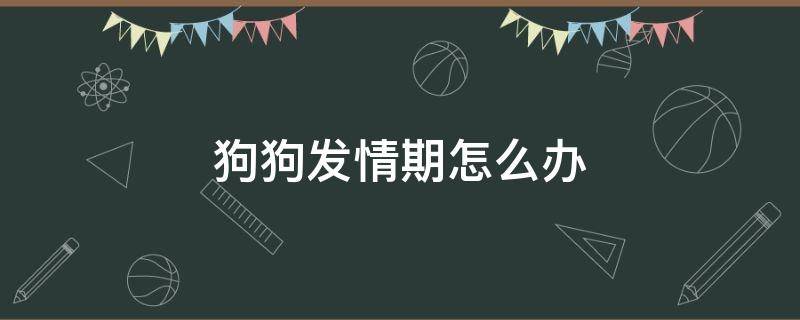 狗狗发情期怎么办 狗狗一年发几次情分别在什么季节