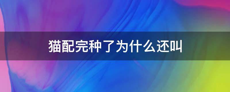 猫配完种了为什么还叫 为什么配完种回来会叫猫