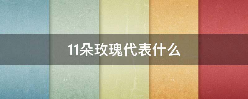 11朵玫瑰代表什么（11朵玫瑰代表什么意思）