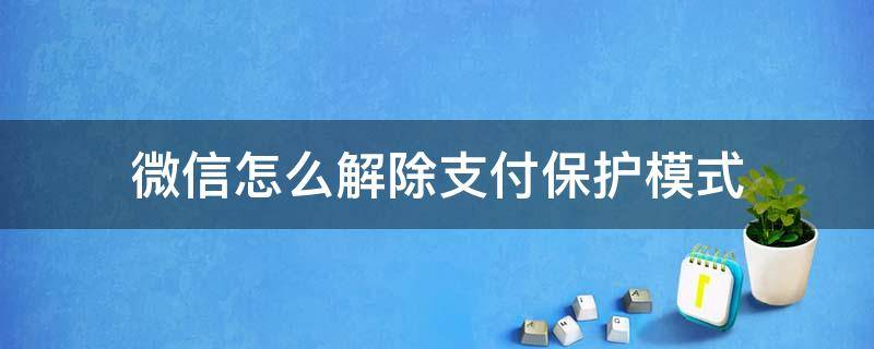 微信怎么解除支付保护模式（微信支付开启了保护模式怎么解除）