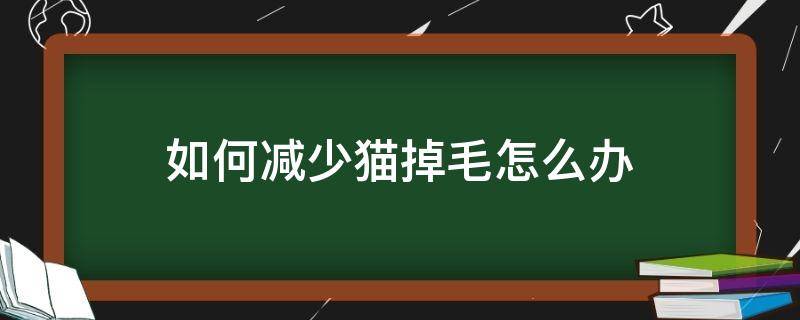 如何减少猫掉毛怎么办（怎么减轻猫咪掉毛）