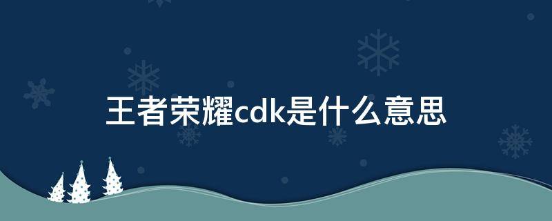 王者荣耀cdk是什么意思（王者的cdk是什么）