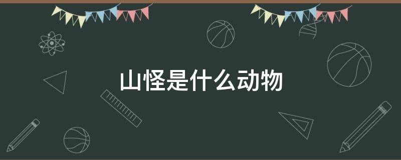 山怪是什么动物 山怪是什么生物