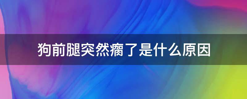 狗前腿突然瘸了是什么原因 狗腿突然瘸了是怎么回事