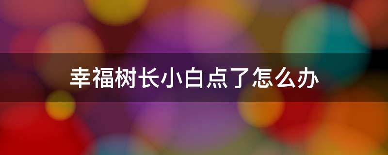 幸福树长小白点了怎么办 幸福树长白点是什么病