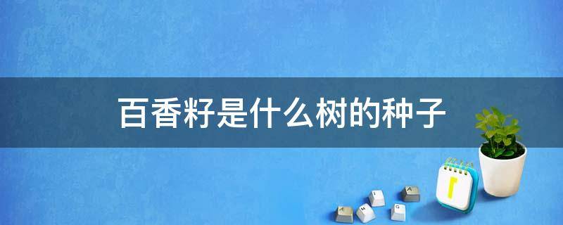 百香籽是什么树的种子 百香籽是什么树的种子图