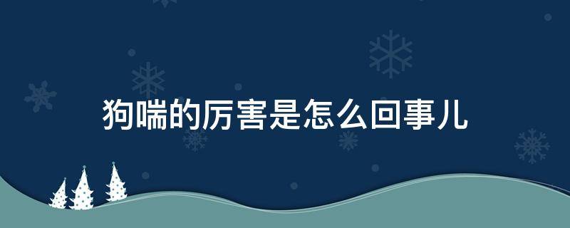 狗喘的厉害是怎么回事儿 狗狗喘的快正常吗