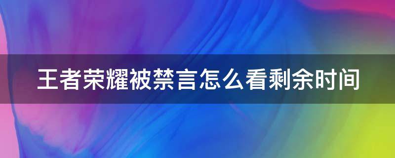 王者荣耀被禁言怎么看剩余时间 王者荣耀被禁言怎么看剩余时间记录