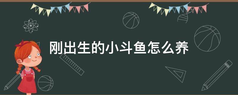 刚出生的小斗鱼怎么养（小斗鱼要怎么养）