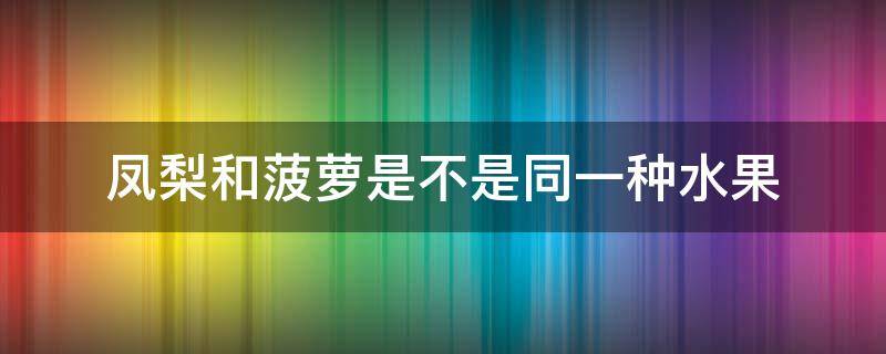 凤梨和菠萝是不是同一种水果（凤梨和菠萝是不是同一种水果知乎）