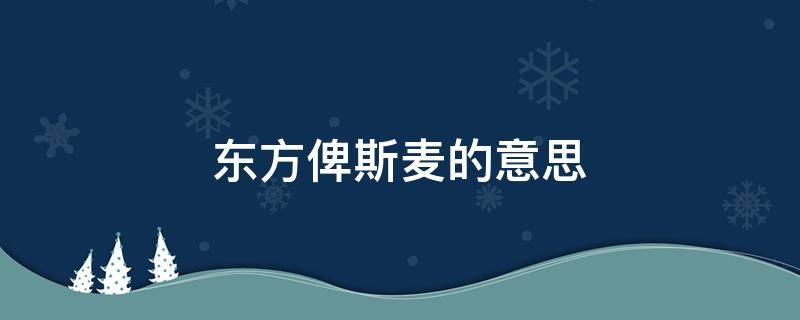 东方俾斯麦的意思 西方俾斯麦