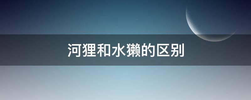 河狸和水獭的区别（河狸和水獭有什么区别）