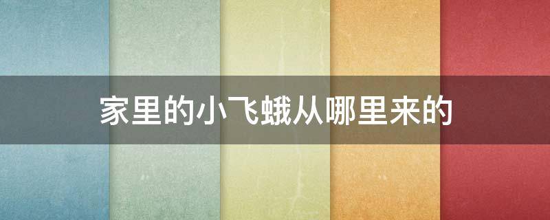 家里的小飞蛾从哪里来的 家里有小飞蛾从哪里来的