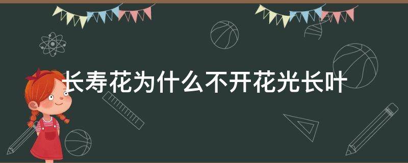 长寿花为什么不开花光长叶 长寿花为什么光长叶子不开花?