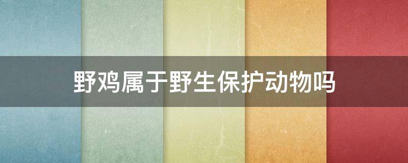 野鸡属于野生保护动物吗 野鸡是野生保护动物吗